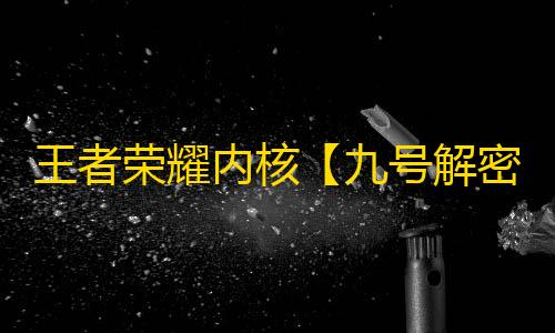 王者荣耀内核【九号解密】辅助